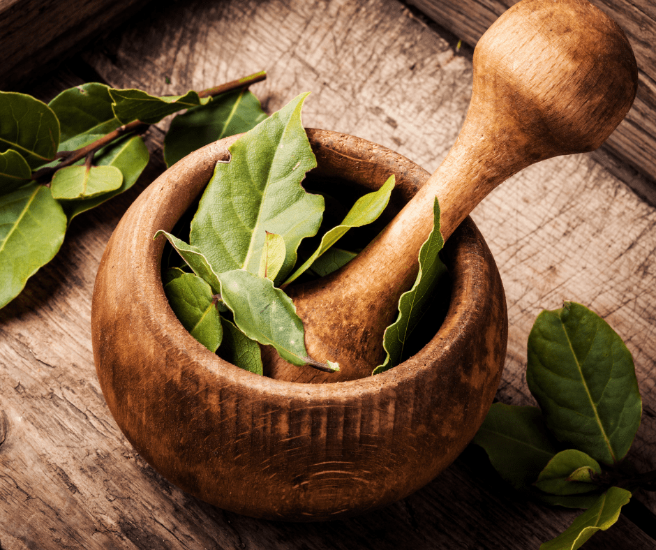 Bay Leaf: Potential Health Benefits