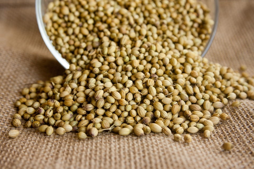 Coriander: Overview of Potential Health Benefits