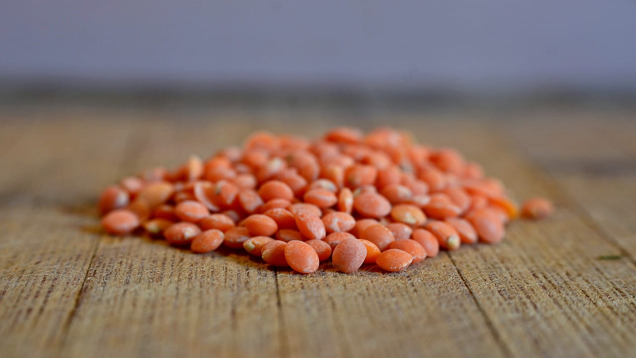 MSI Funded Study: The Impact of Herbs and Spices on Increasing the Appreciation and Intake of Low-Salt Legume-Based Meals