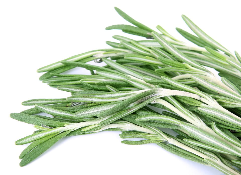 Rosemary: An Overview of Potential Health Benefits