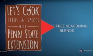 salt_free_blends