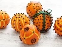 Cloves1